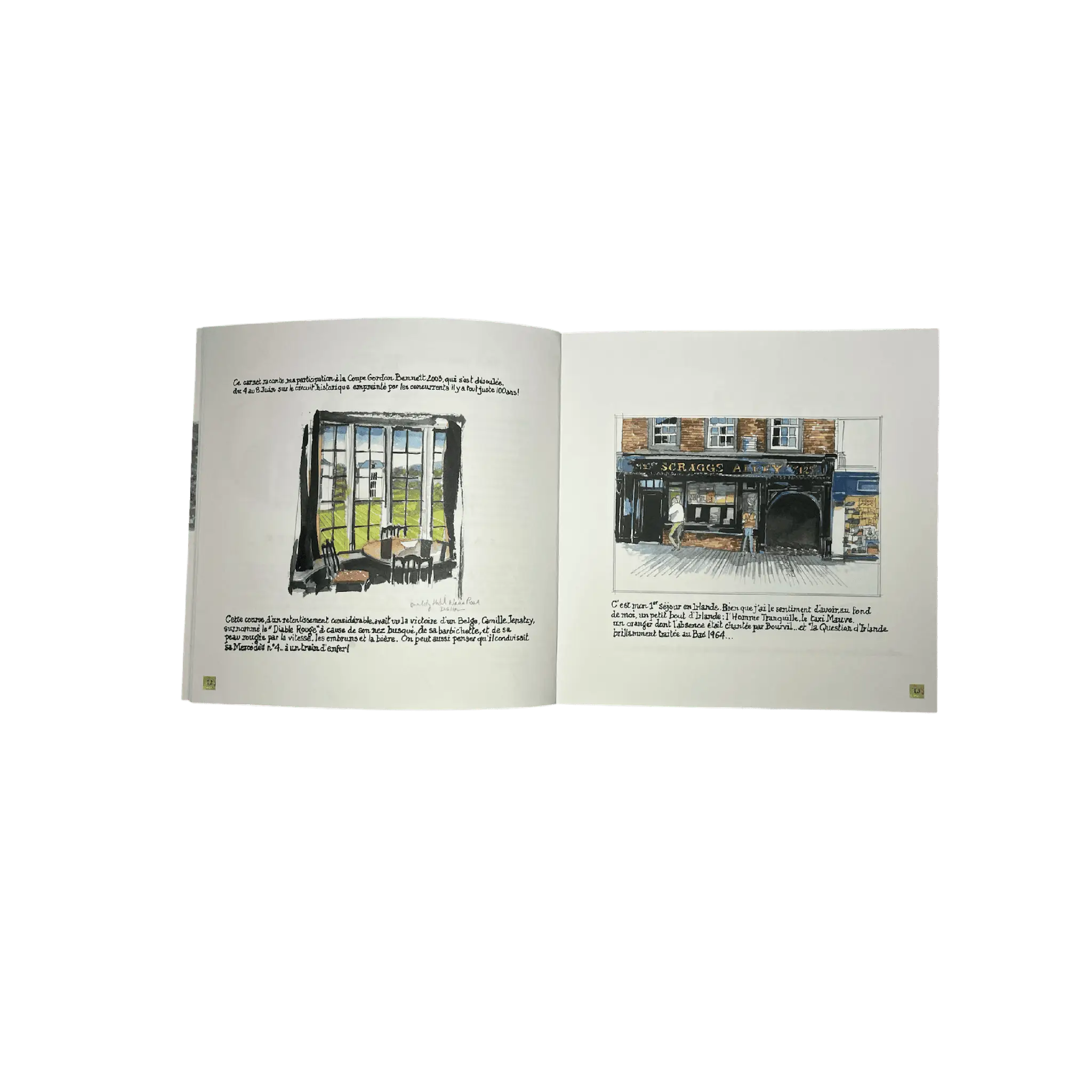 Carnet de Voyage Irlande Gordon Bennett - librairie Michelin